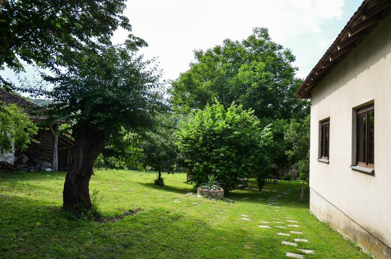 Kuca Za Odmor Radovanovic Despotovac Exterior photo