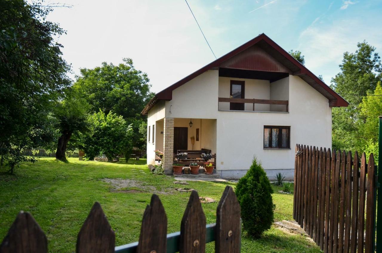 Kuca Za Odmor Radovanovic Despotovac Exterior photo