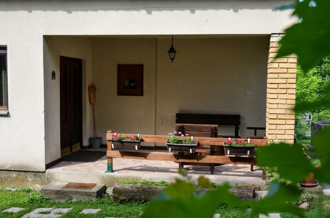 Kuca Za Odmor Radovanovic Despotovac Exterior photo